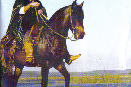 Cd – Joca Martins – Classicos Da Terra Gaucha – (cd Duplo)