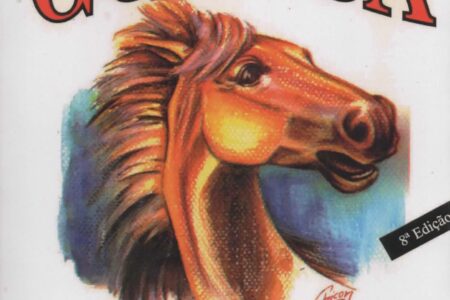 Livro – Minidicionario Guasca