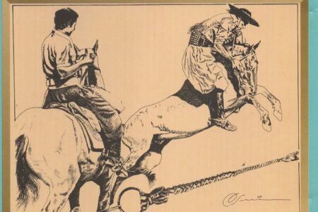 Cd – Galpão Gaucho – Volume 5