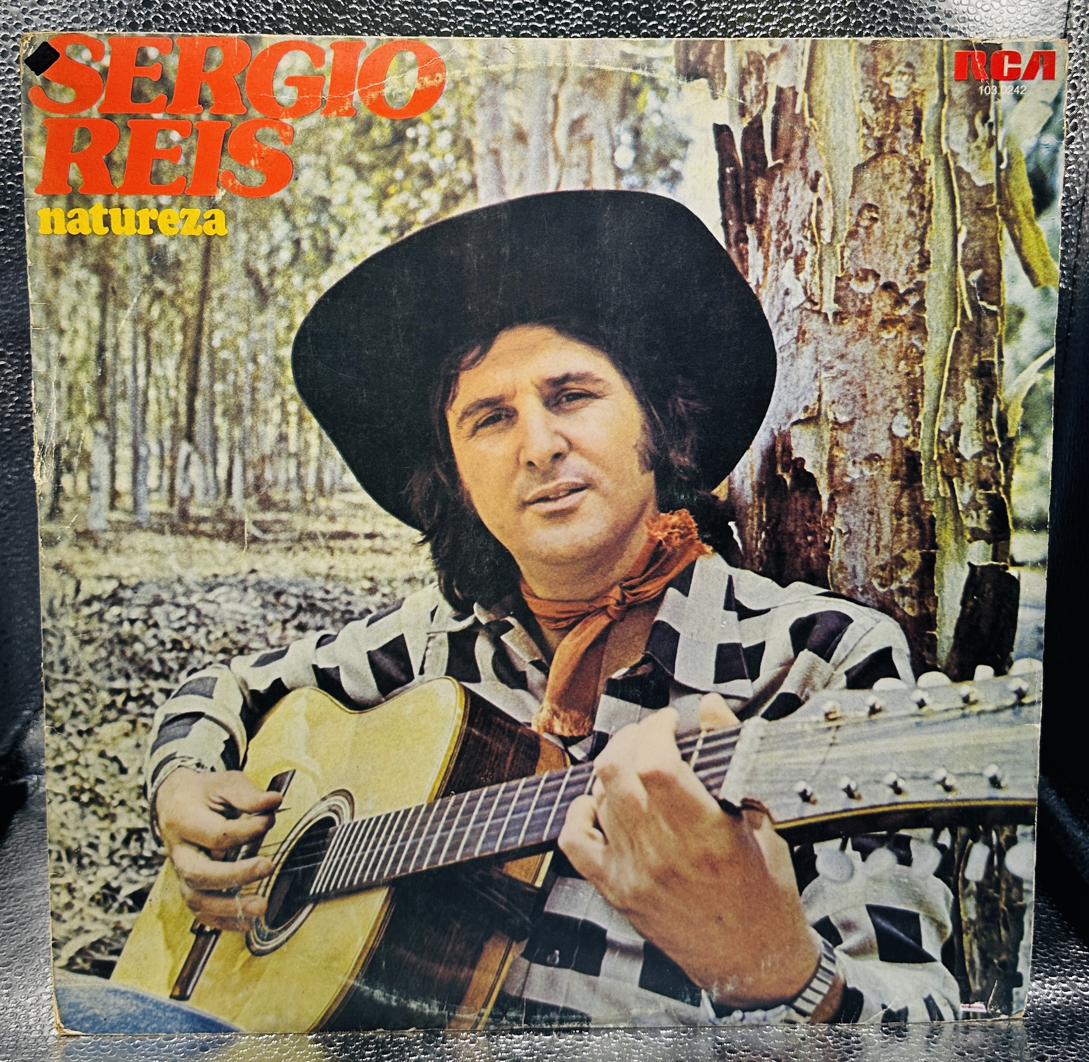 Lp - Sergio Reis - Natureza