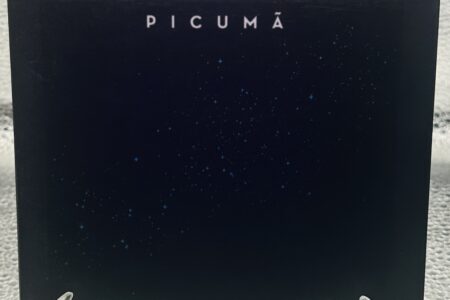 CD – Instrumental Picumã