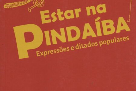 Livro – Ari Riboldi – Estar na Pindaíba